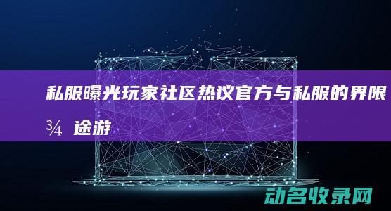 私服曝光 玩家社区热议官方与私服的界限 征途 (游戏曝光是什么意思)