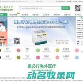 海外医疗推荐品牌