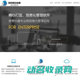 沈阳软件公司